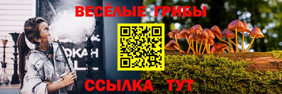 Псилоцибиновые грибы MAGIC MUSHROOMS Клинцы
