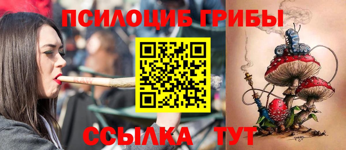 Псилоцибиновые грибы Magic Shrooms  Вход с VPN  закладки  Клинцы  Псилоцибиновые грибы прущие грибы 